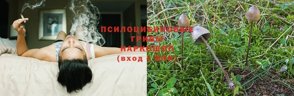 apvp Переславль-Залесский