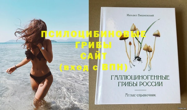 apvp Переславль-Залесский